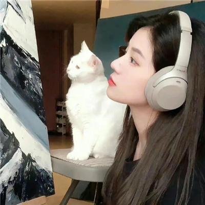 灵幻先生